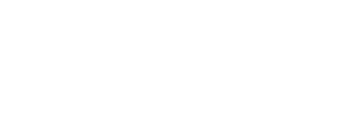 ご予算以上の感動を